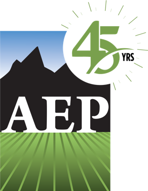 aep environmental chapters professionals association supporting celebrating fabulous environment years areas chapter